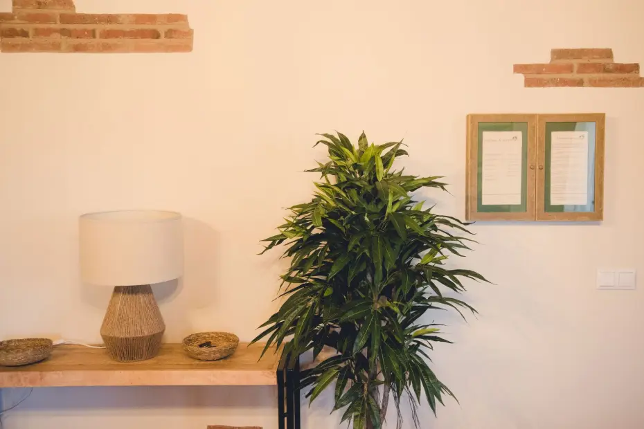 Reserva casa rural La Vega Extremadura