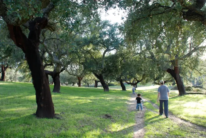 Rutas por la dehesa de Extremadura