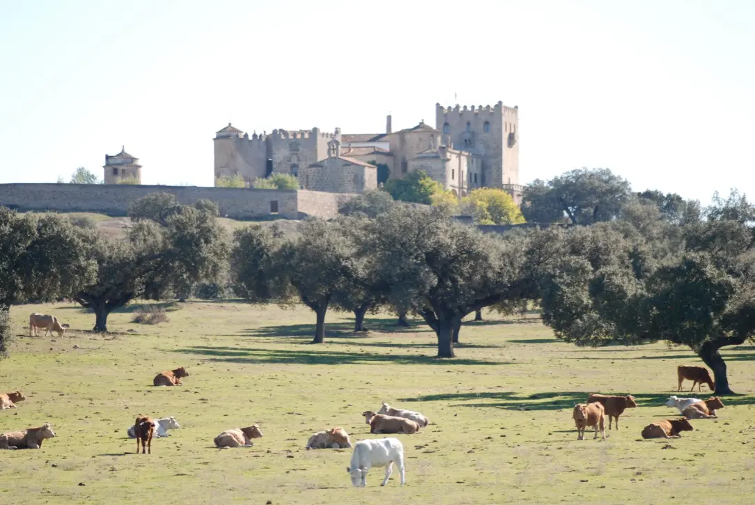 Castillo de Piedrabuena siglo XIII - San Vicente de Alcántara