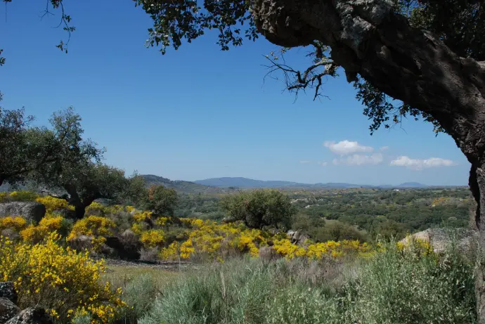 Paisaje natural cerca de Casa Rural La Vega en Extremadura