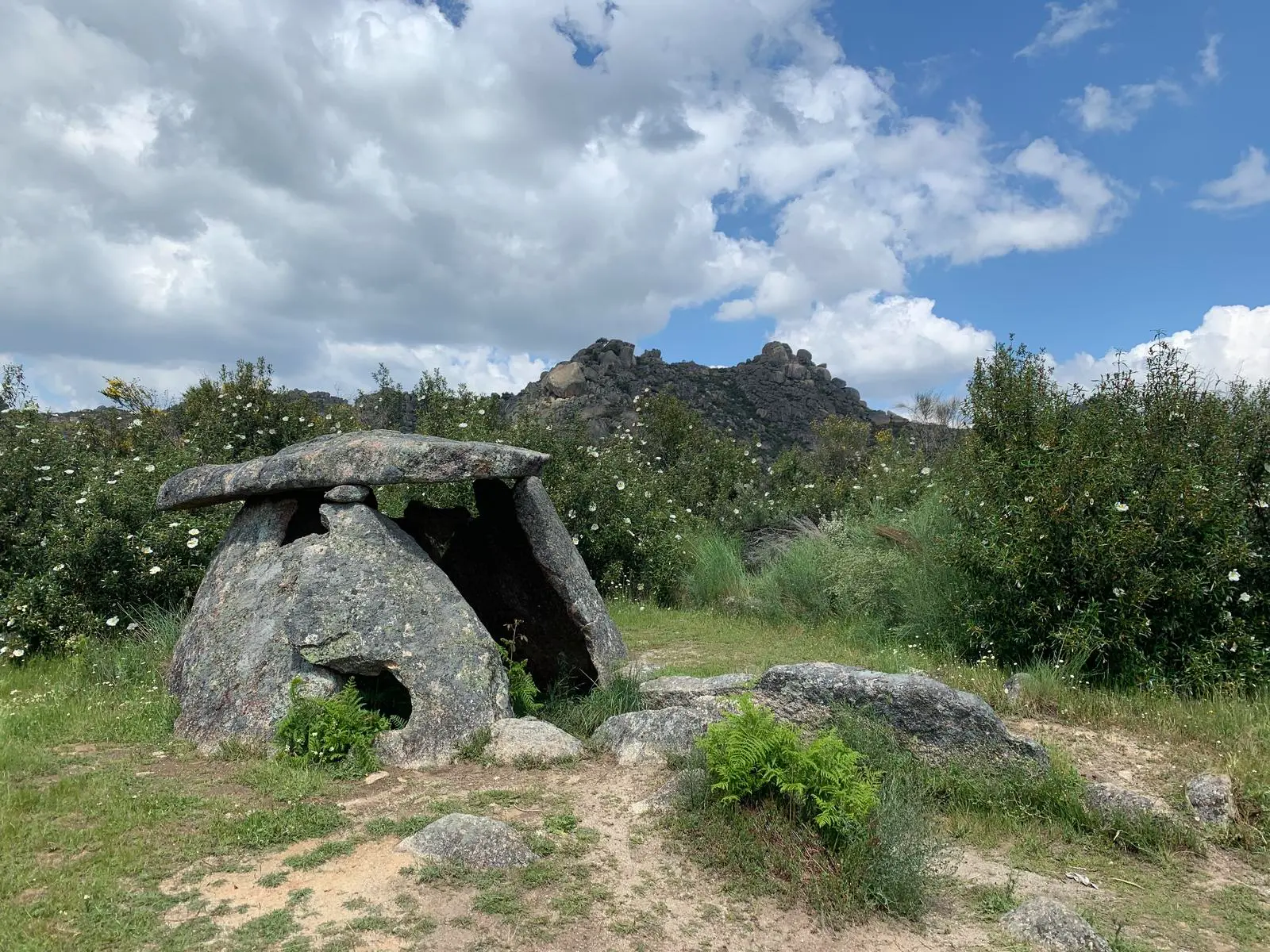 Conjunto megalítico de Valencia de Alcántara