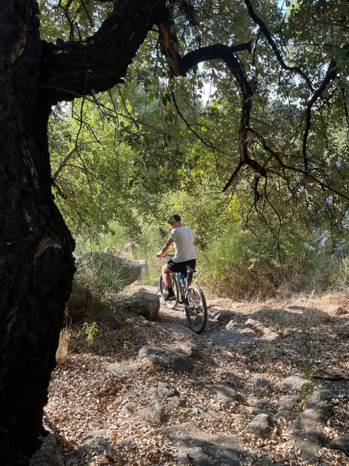 Niño descendiendo en bicicleta desde la Ermita de la Virgen de la Cabeza entre alcornoques en la Sierra de San Pedro.